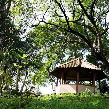 Rajanawa Resort Ratnapura Dış mekan fotoğraf
